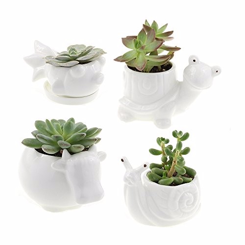 Set of 4 – White Ceramic Animal Planter Pots – Snail, Turtle, Cow and Fish