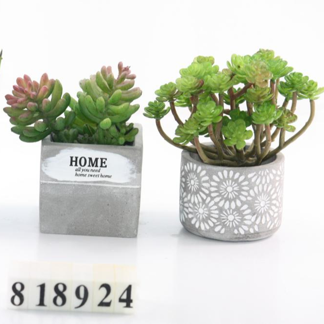 6-inch Triangular Concrete Succulent Planter Pot