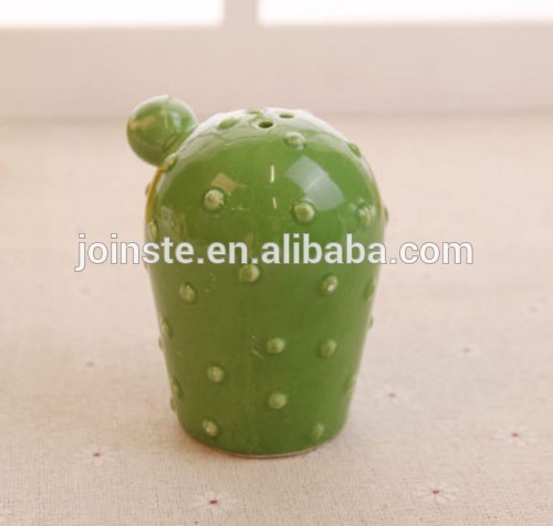 Customized green cactus salt and pepper shaker spice shaker