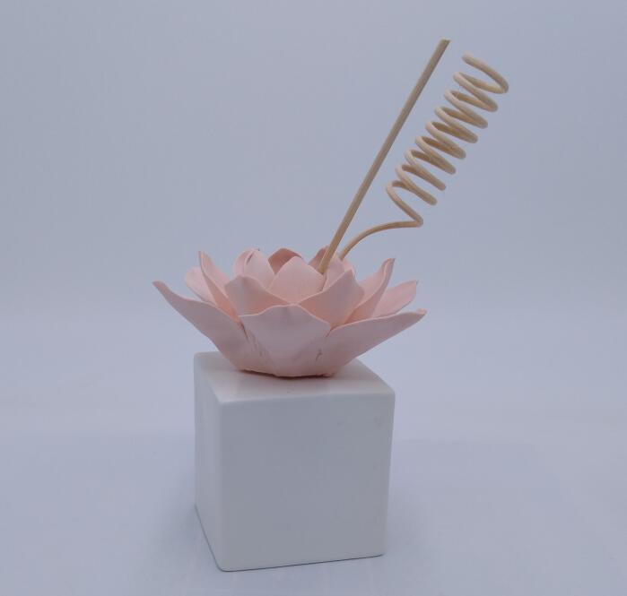 Ceramic Pot with Reed Sticks 80 ML Capacity of This Vase.