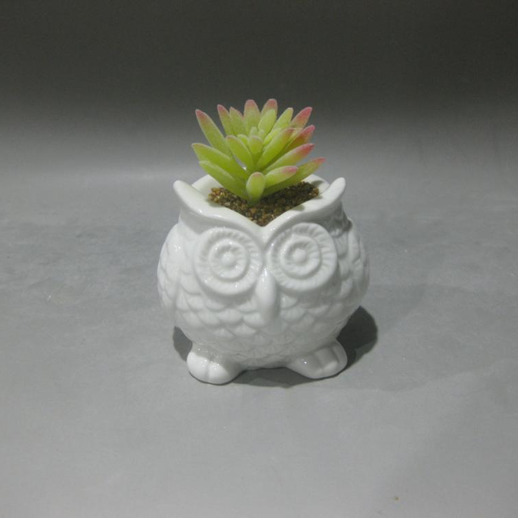 Succulent plants mini owl shape white ceramic flower pots