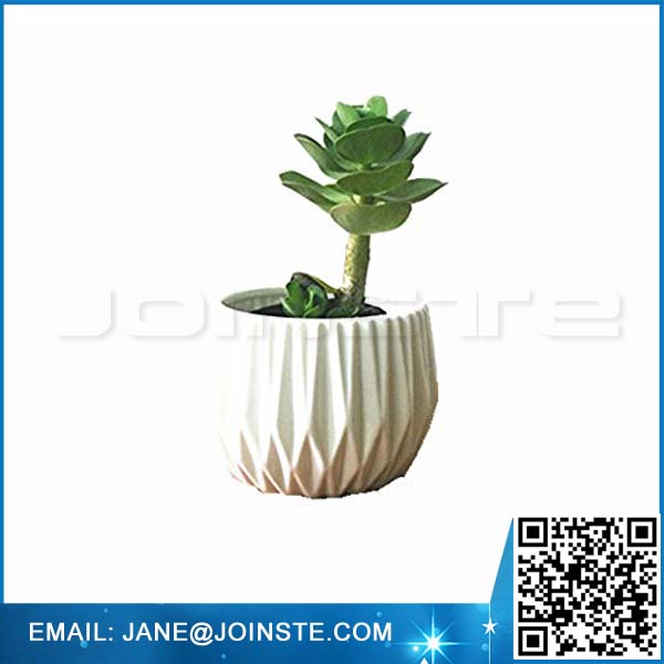 Ribbed Design Ceramic Succulent Plant Container Mini Planter Pot Color White