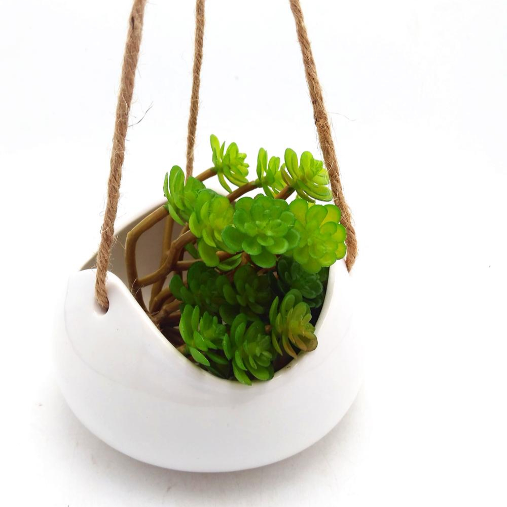 White elegant ceramic hanging basket ,hanging succulent flower pot