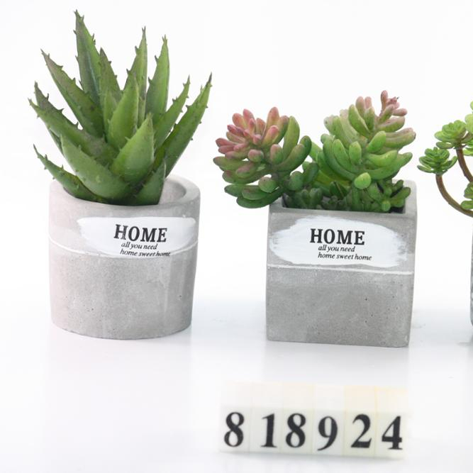 Concrete round and square desktop  flower pot  for livingroom