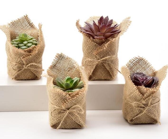 SUCCULENT IN JUTE BAG With DISPLAYER, 4 ASST