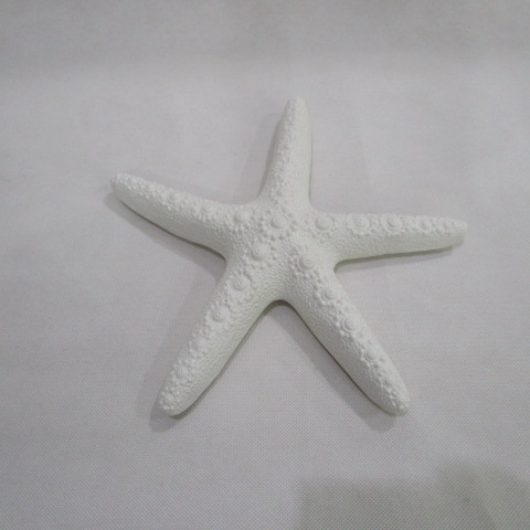 Small Ceramic Starfish Coastal Figurine, White, Medium