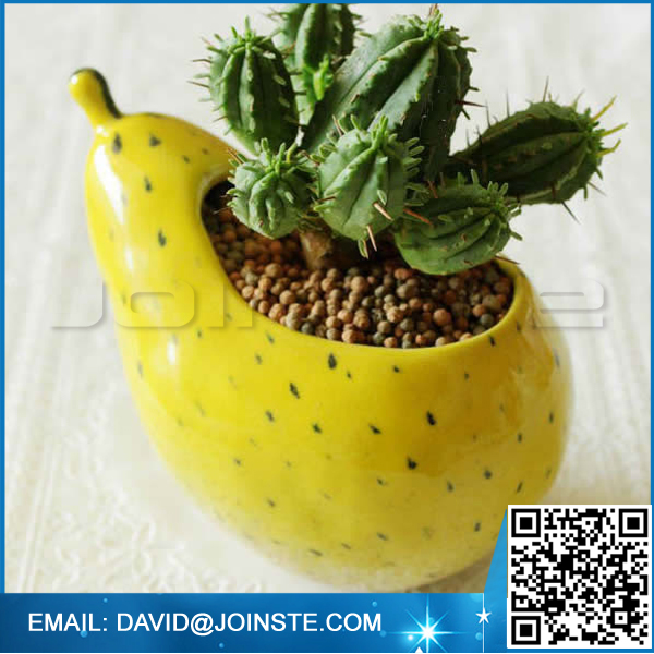 Handmade Pear Porcelain Ceramic Flower Pot